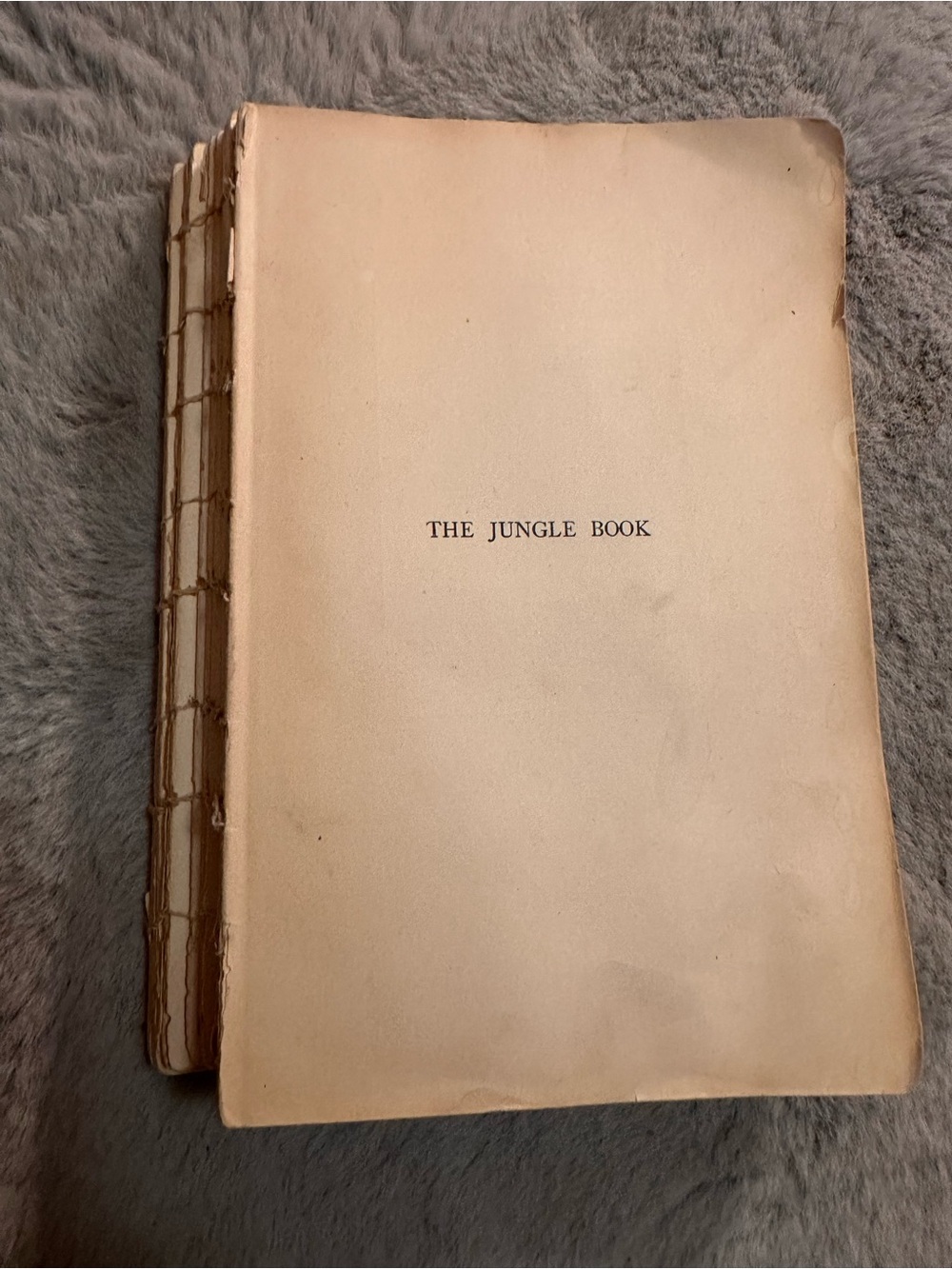 ⭐️ Vintage The Jungle Book 1929 no cover